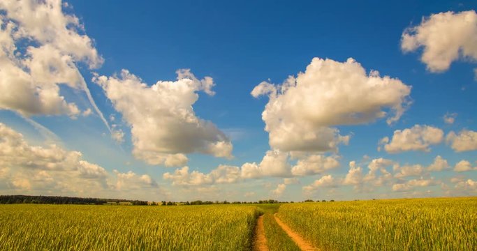 Time-lapse: white clouds flying on blue sky over yellow field