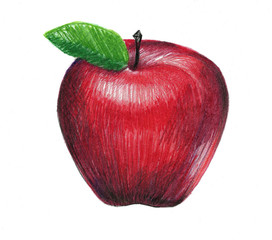 HAND DRAWING APPLE