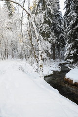Winter landscape of Bohemian Switzerland