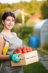 Woman holding box with tomatoes