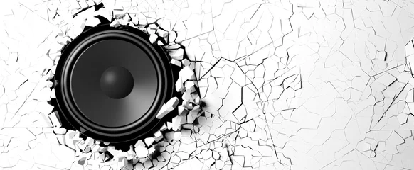  Loudspeaker on a white wall background. 3d illustration © viperagp