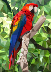 Ara Parrot Low Poly