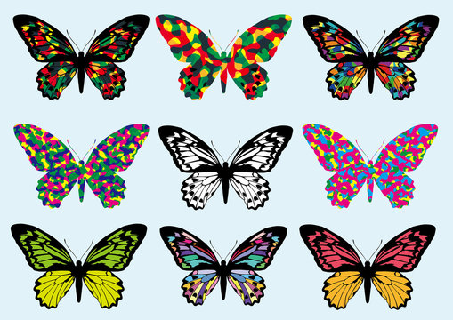 colorful Butterfly　design icon set, vector Illustration