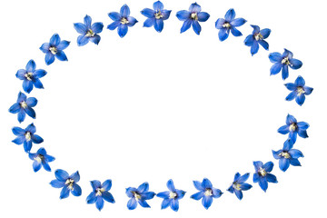 Festive floral vignette on white background