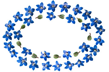 Festive floral vignette on white background