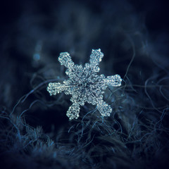 Real snowflake macro photo: large snow crystal with six simple, straight arms and large hexagonal...
