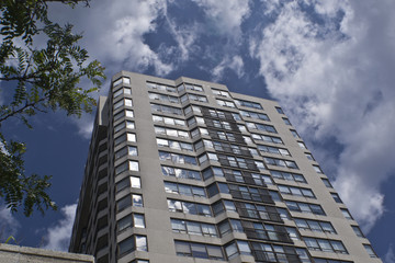 Fototapeta premium condominium high rise building with tree