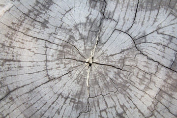 Old wooden texture background. Wood plank brown texture background. old, grunge wood panels used as background