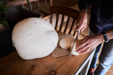Giant puffball