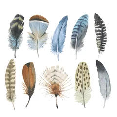 Fotobehang Veren Vectorvogelveer van geïsoleerde vleugel. Aquarelle veer voor achtergrond, textuur, wrapper patroon, frame of rand.