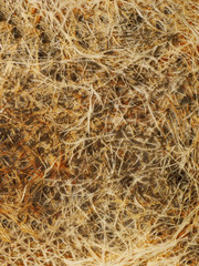 Roots background