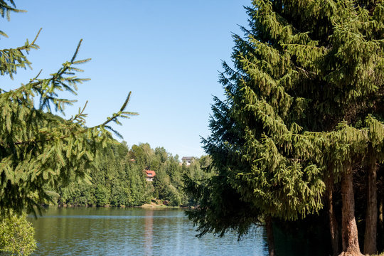 Mountain landscape with river
