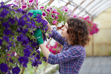 happy female nursery worker trimming plants in greenhouse