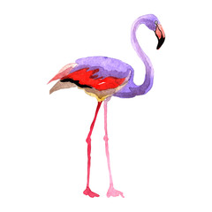 Sky bird flamingo in a wildlife by vectorr style isolated. Wild freedom, bird with a flying wings. Aquarelle bird for background, texture, pattern, frame, border or tattoo.
