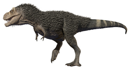 3D rendering of Tyrannosaurus Rex walking, isolated on a white background.