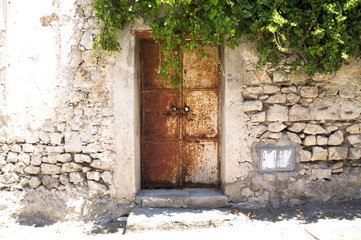 A door, ivy and summer light