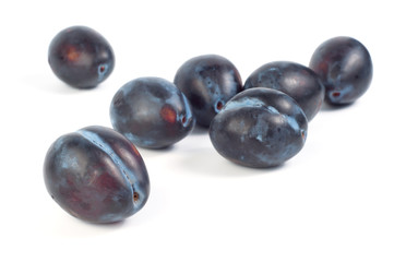 Blue plums on white background