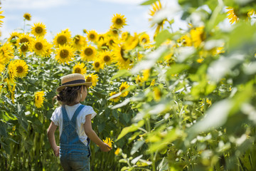 Little girl playing in sunflower field