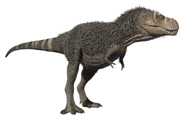 3D rendering of Tyrannosaurus Rex standing, isolated on a white background.