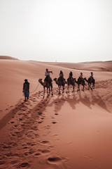 paseando en camello bajo el atardecer del Sahara