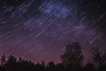 The movement of stars over the forest