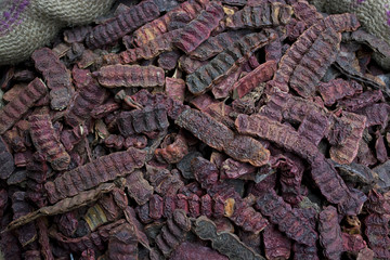 Close-up of Shikakai seeds for sale at the market