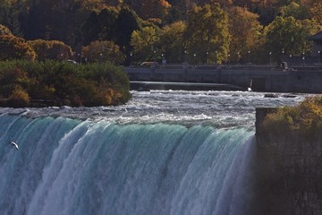 Beautiful image with amazing powerful Niagara waterfall