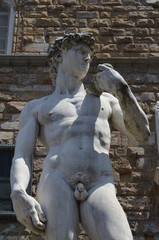 Fototapeta na wymiar Statue of David by Michelangelo in Florence