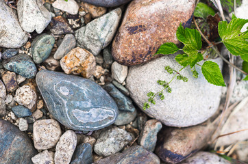 Close up of pebbles on a mountain river bank, colorful texture background, sunny summer day