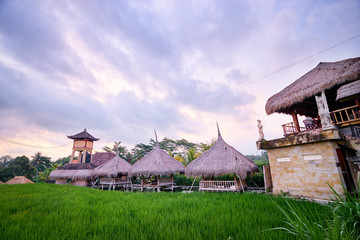 Beautiful landscape with green rice field and houses. Bali, Indonesia.
