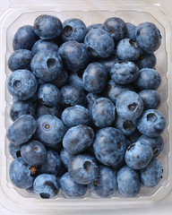 Fresh Blueberries 2
