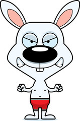 Cartoon Angry Bunny Swimsuit
