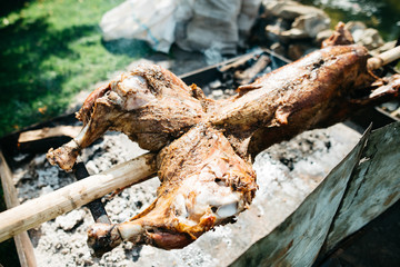 veal meat on the spit