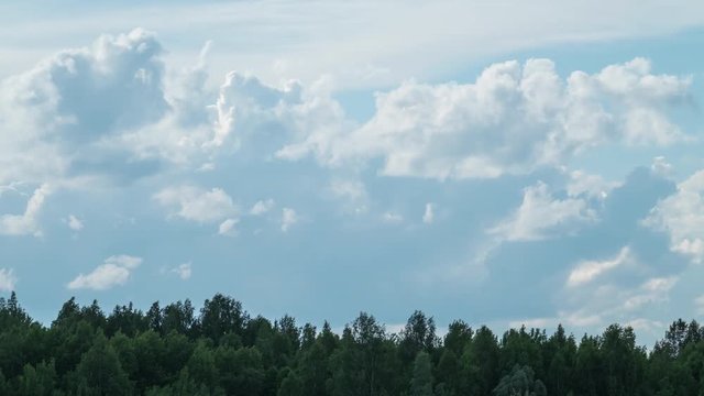 Timelapse of the summer fluffy clouds over forest