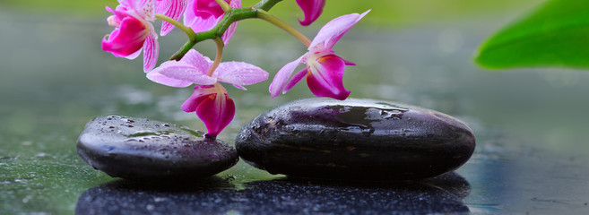 Black spa stones and pink orchids. Wellness background.