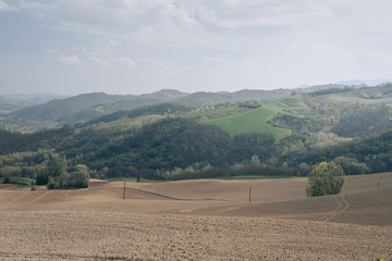 Fototapeta premium Oltrepo Pavese, Province of Pavia, Lombardy, Italy.