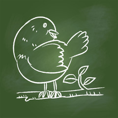 Hand drawing Bird  on Green board -Vector illustration