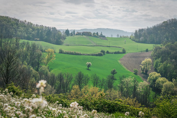 Fototapeta na wymiar Oltrepo Pavese, Province of Pavia, Lombardy, Italy.
