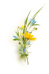 bouquet of wild flowers isolated on white background
