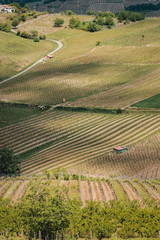 Oltrepo Pavese, Province of Pavia, Lombardy, Italy.