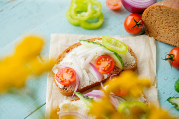 Wholesome sandwich with cheese, garden radish -Healthy Eating