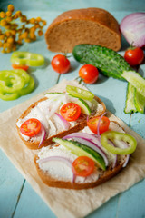 Wholesome sandwich with cheese, garden radish -Healthy Eating