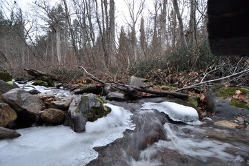 water