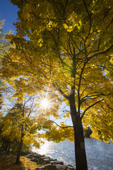 Park in colorful Canadian autumn