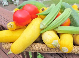 Summer vegetables, cucumbers, squash, okra and tomatoes