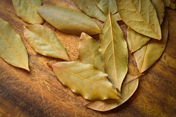 Dried Bay leaves
