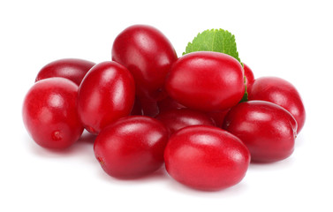 dogwood berries isolated on white background