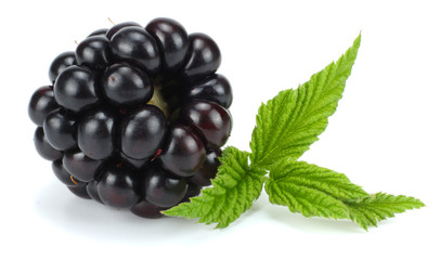 blackberries with green leaf isolated on white background. macro