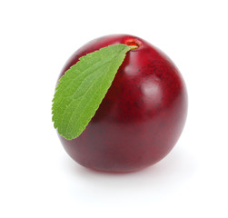 fresh plum fruit isolated on white background