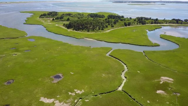 Wetland and Hog Island on Cape Cod, MA